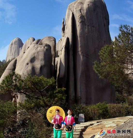 仙人锯板