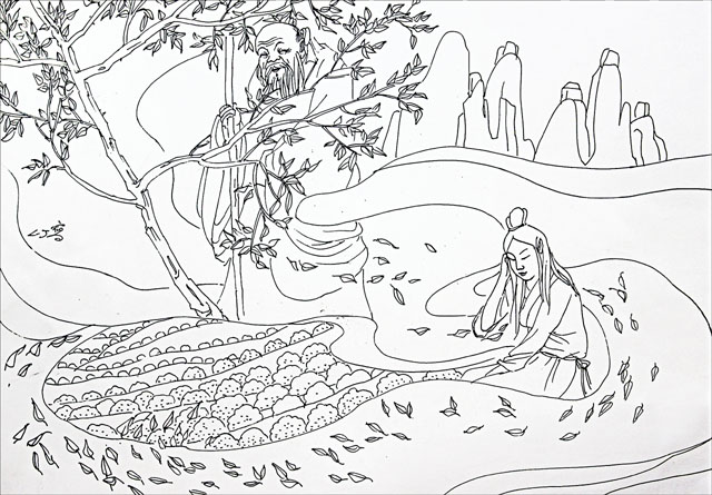 “福鼎史话”之八：传奇蓝姑，茶之始祖