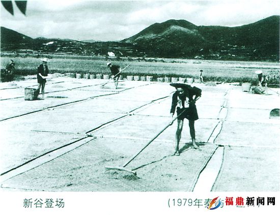 新谷登场（79年秦屿·巨口）.jpg