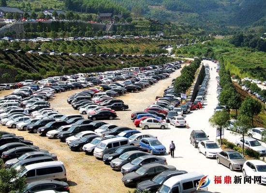 接待游客20.56万人次  实现旅游1.08亿元