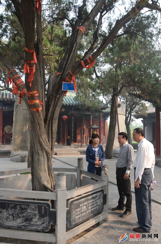 福鼎市林氏文化研究会参观比干庙开心柏.jpg