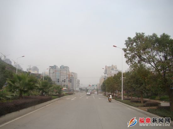 中央大道绿树成行，高楼林立.JPG