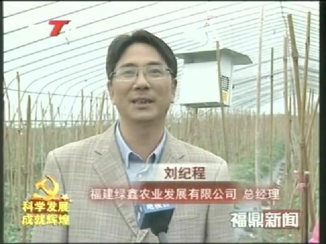 福鼎：现代农业蓬勃发展 农业增效农民增收