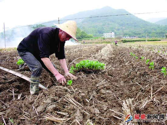 我市秋冬季农业生产掀高潮