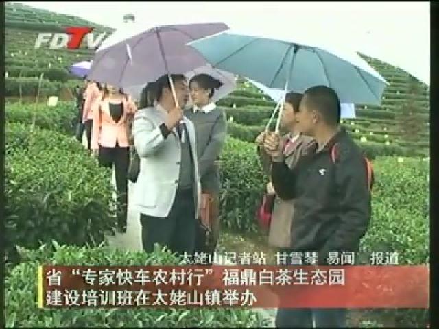 省“专家快车农村行”福鼎白茶生态园建设培训班在太姥山镇举办