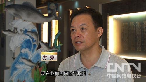 cctv7 《致富经》——大胆创意引爆的财富