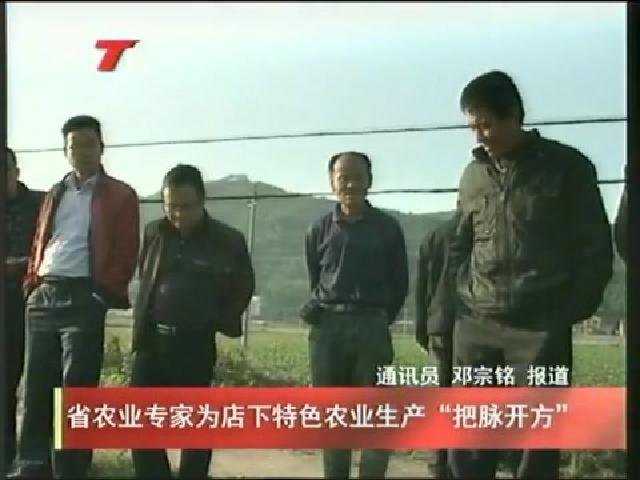 省农业专家为店下特色农业生产“把脉开方”