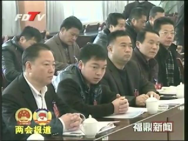 陈其春、叶梅生参加经济与人口资源委组政协委员讨论《政府工作报告》