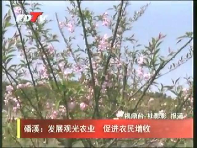 磻溪：发展观光农业 促进农民增收