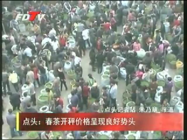 点头：春茶开秤价格呈现良好势头