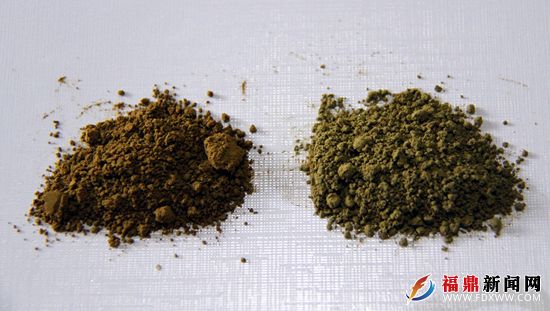 图左为超细微纳米白茶粉 图右为超细微纳米Y-氨基丁酸白茶.JPG