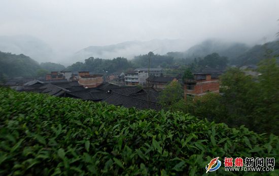 1.绿树掩映村庄.jpg