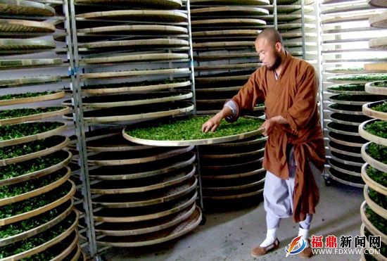 僧人在人工自然萎调茶青006.jpg