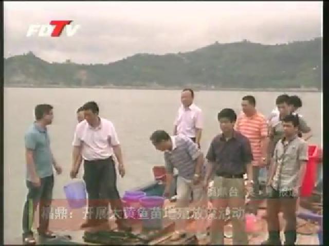 福鼎：开展大黄鱼苗增殖放流活动