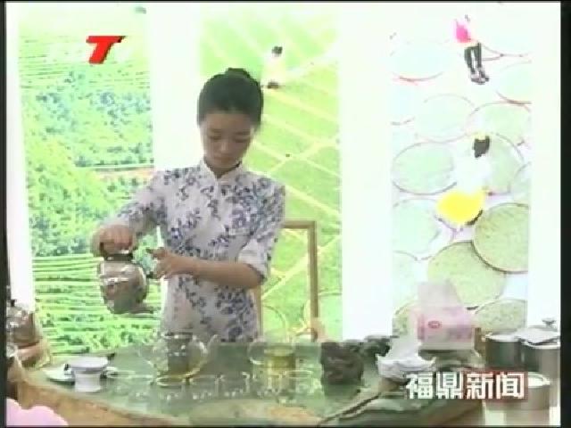 美丽中国 寻找福建最美茶乡采风团莅鼎采风