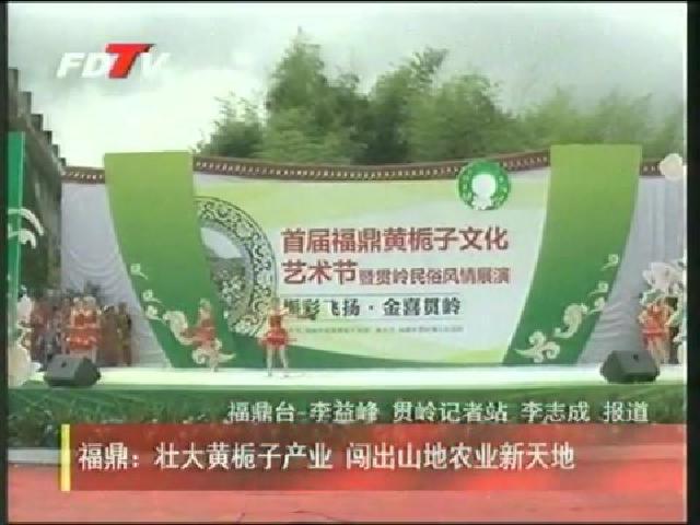 福鼎：壮大黄栀子产业 闯出山地农业新天地