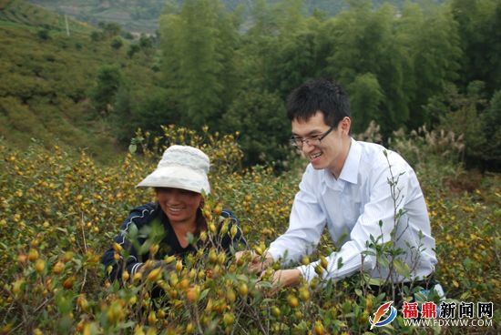 复件 2012农户向信贷员讲述栀子丰收的喜悦.JPG