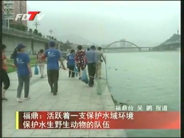 福鼎：活跃着一支保护水域环境保护水生野生动物的队伍