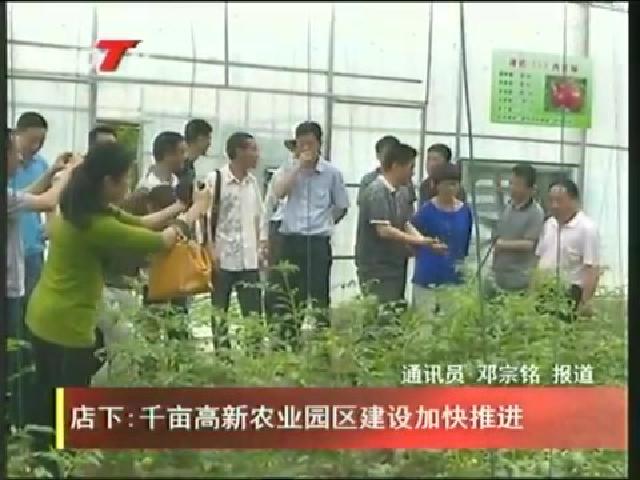 店下：千亩高新农业园区建设加快推进