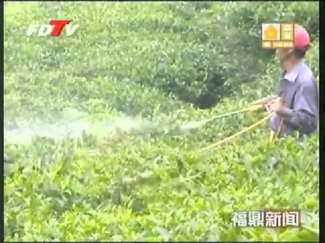 专业合作社——农业增产增收的好帮手