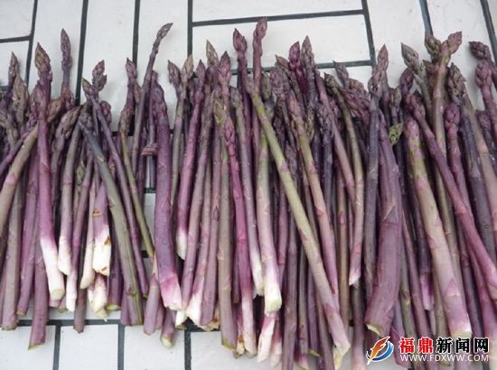 QQ图片20130716224032.jpg
