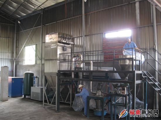 引进新设备，助推白茶产品多元化