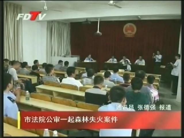 市法院公审一起森林失火案件