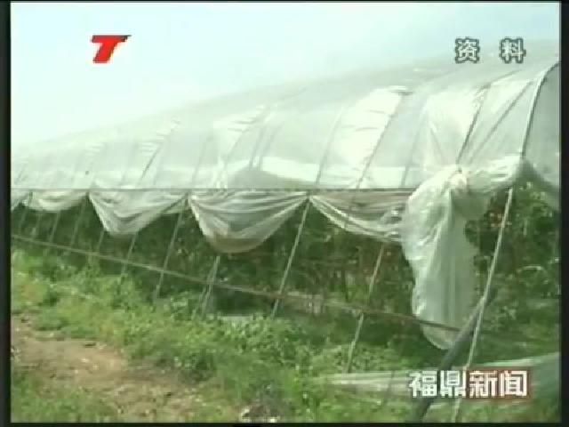 福鼎：农民专业合作社发展势头迅猛
