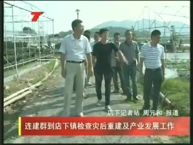 连建群到店下镇检查灾后重建及产业发展工作