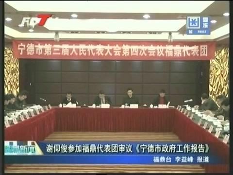 谢仰俊参加福鼎代表团审议《宁德市政府工作报告》