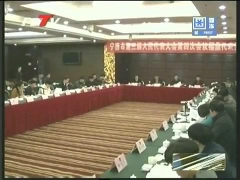 福鼎代表团认真审议《宁德市政府工作报告》