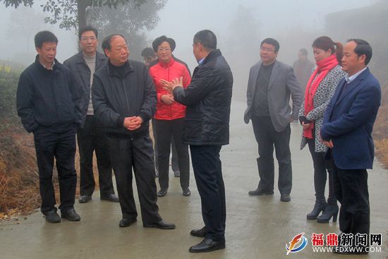 督导组一行实地察看相关企业.jpg