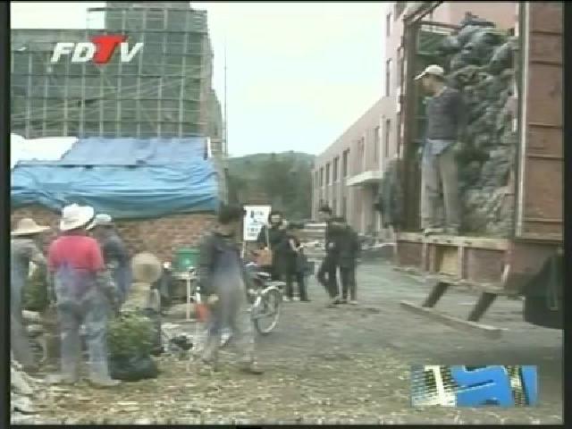 点头：福鼎白茶苗畅销中西部