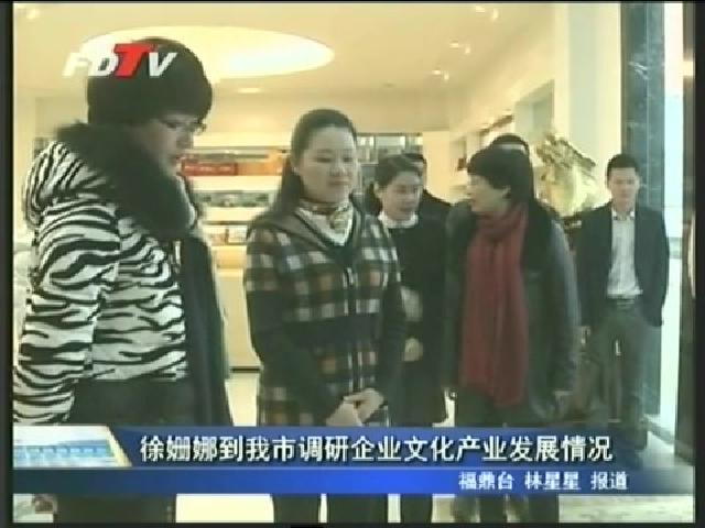徐姗娜到我市调研企业文化产业发展情况