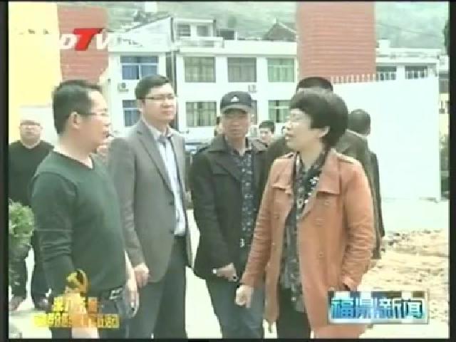 姚双霞到贯岭镇开展改四风访民情 四下基层聚民心活动