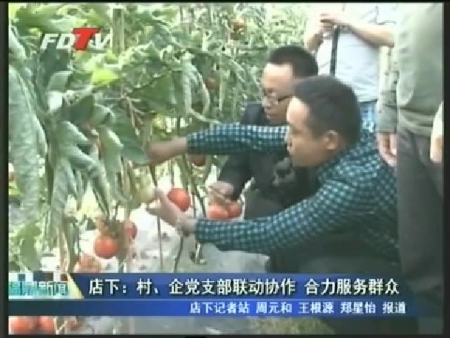 店下：村、企党支部联动协作  合力服务群众