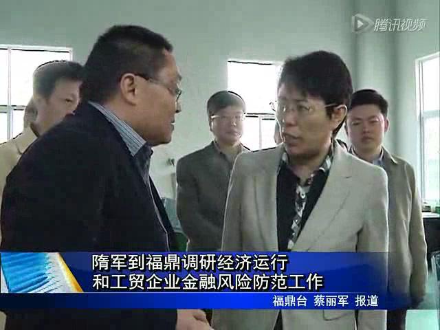 隋军到福鼎调研经济运行和工贸企业金融风险防范工作