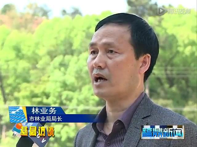 市林业局：加强群众路线教育 推动全市生态文明建设