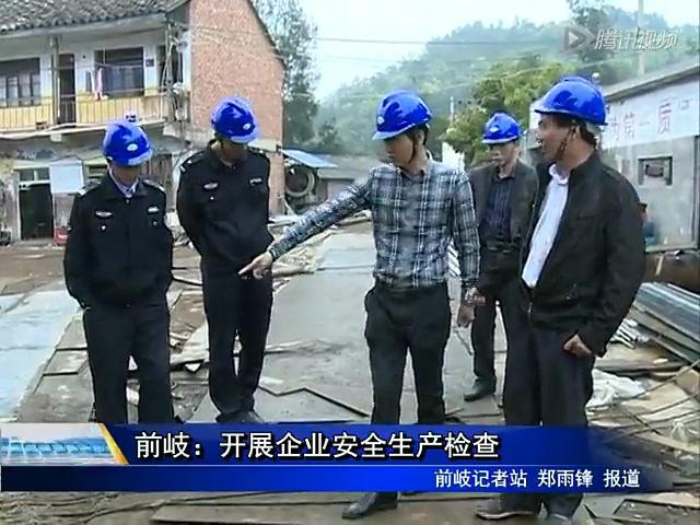 前岐：开展企业安全生产检查