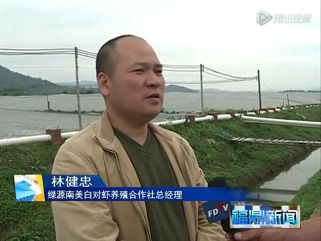 白琳：对虾养殖改一年一茬为一年三茬