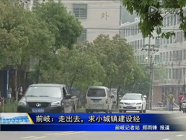 前岐：走出去，求小城镇建设经