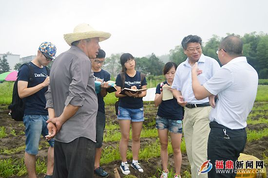 福建农林大学植物保护学院实践队到管阳镇指导农户科学种植