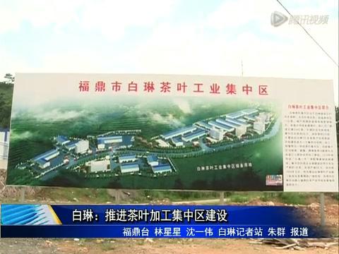 白琳：推进茶叶加工集中区建设