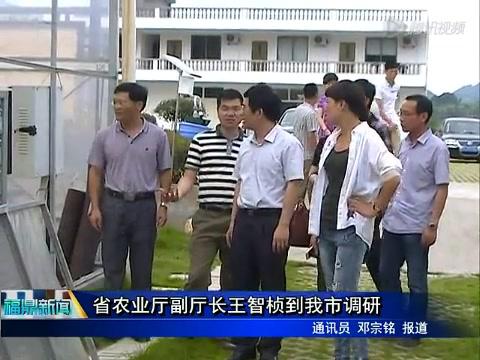 省农业厅副厅长王智桢到我市调研