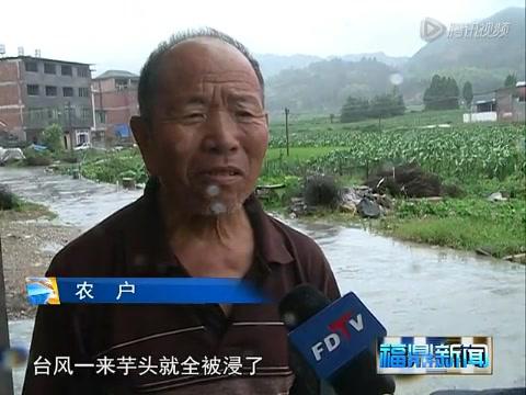 管阳：台风“麦德姆”造成强降雨灾情严重