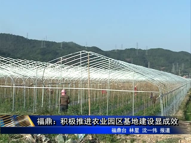 福鼎：积极推进农业园区基地建设显成效