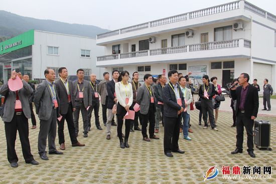 福鼎人口结构_福鼎肉片图片