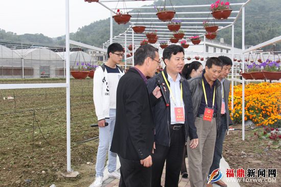 福鼎人口结构_福鼎肉片图片(2)