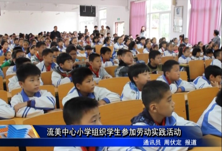 流美中心小学组织学生参加劳动实践活动