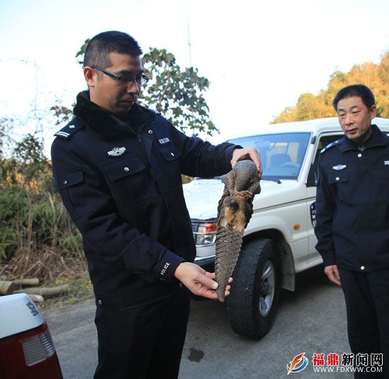 我市森林公安分局民警放生收缴的野生动物